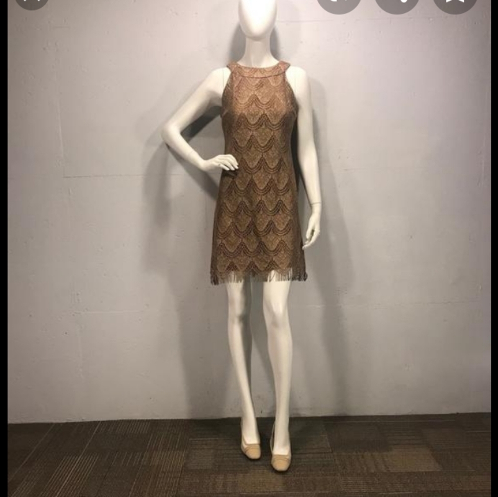 S.L. Fashion Dress